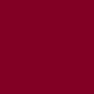icon-color-pms195u-burgundy
