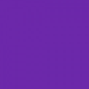 icon-color-pms266-violet