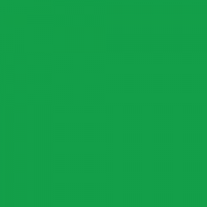 icon-color-pms355-green