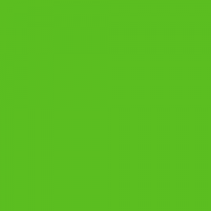 icon-color-pms368-light_green